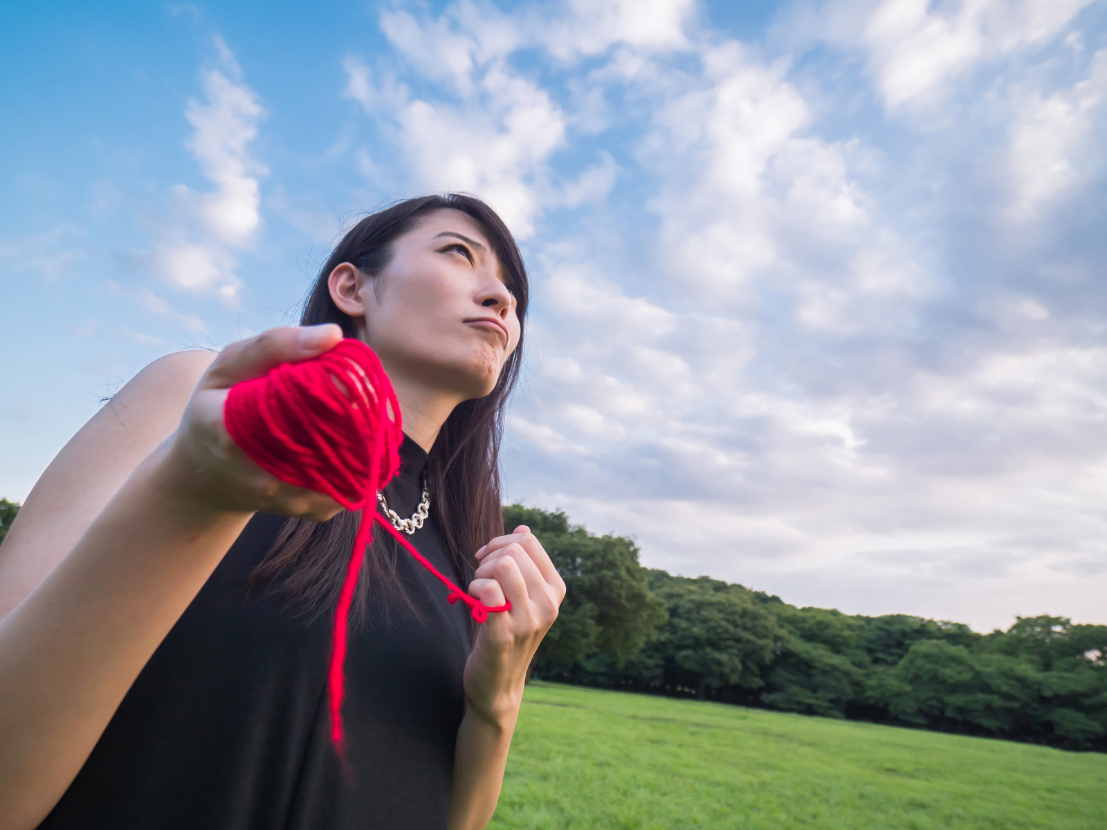 管理人の婚活日記 ブログ 揺れる心 二人で迷うときはどうしたいいのか It虎の穴